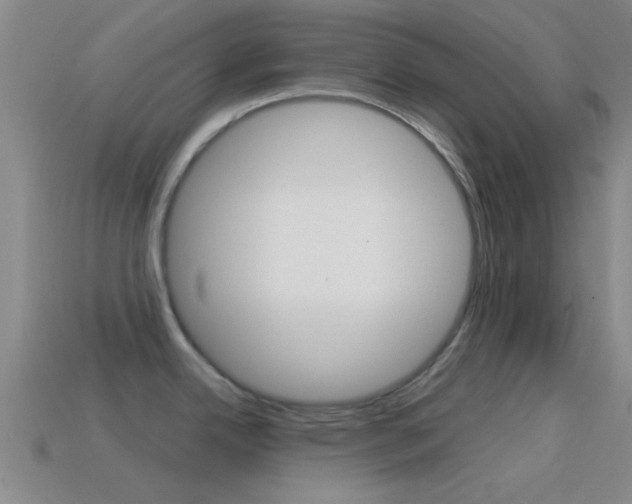 X0000114571342200910191025
