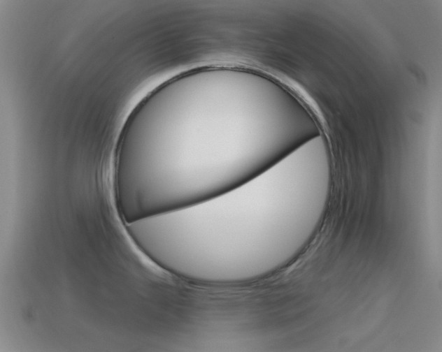 X0000114571343200910191025