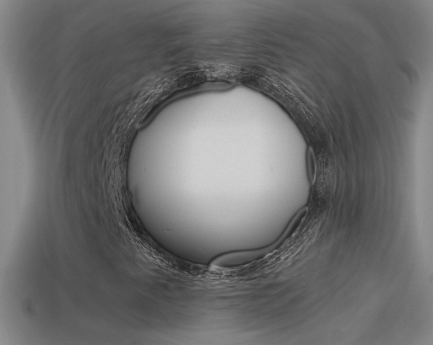 X0000114571345200910191025