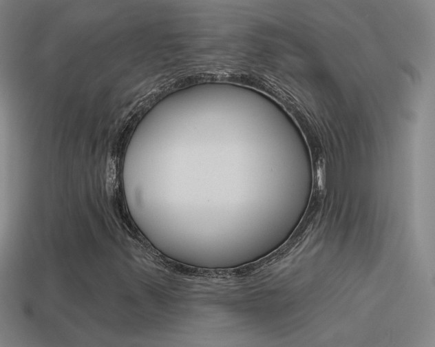 X0000114571347200910191025