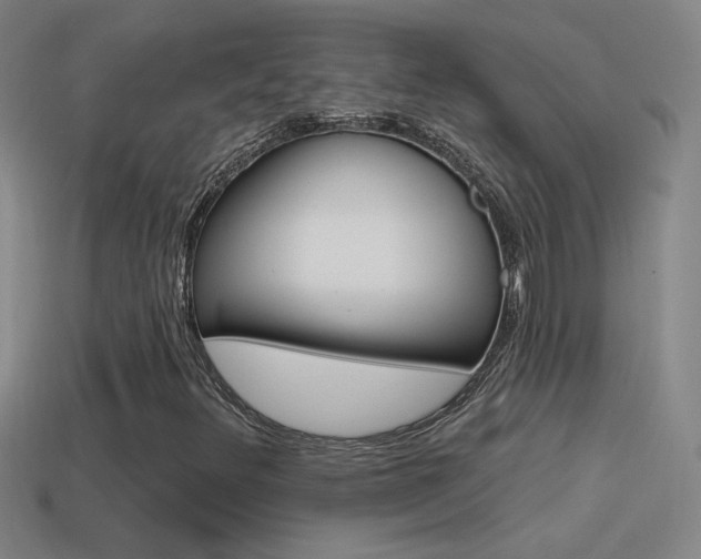 X0000114571348200910191025
