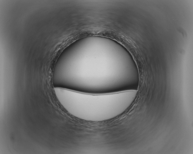 X0000114571349200910191025