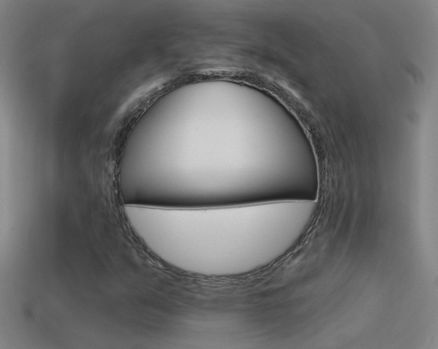 X0000114571351200910191025
