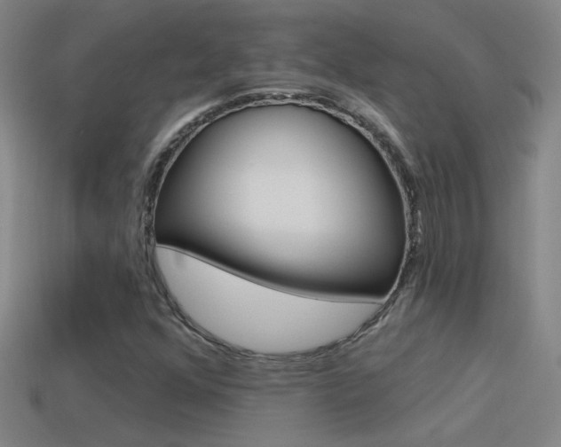 X0000114571352200910191025