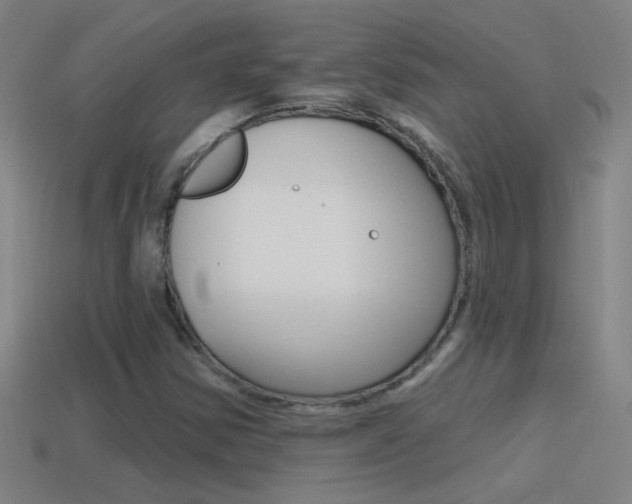 X0000114571354200910191024