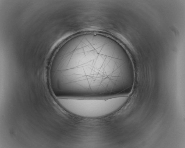 X0000114571356200910191024