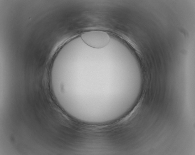 X0000114571357200910191024