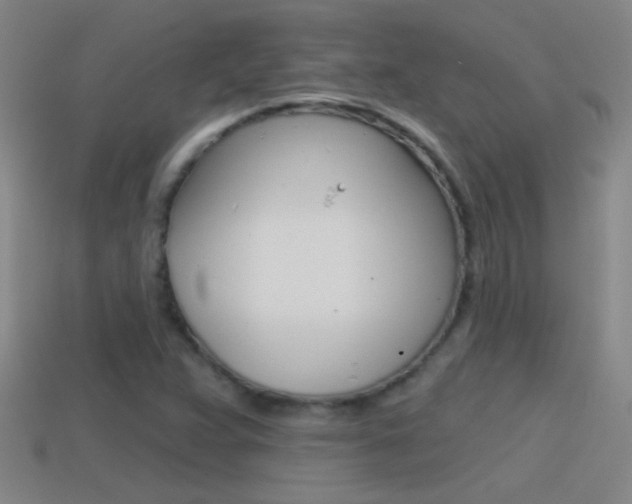 X0000114571359200910191024