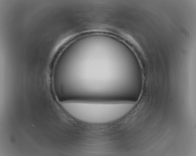 X0000114571360200910191024
