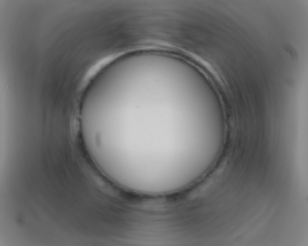 X0000114571363200910191024