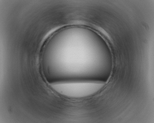 X0000114571364200910191024
