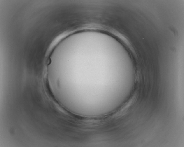 X0000114571366200910191024