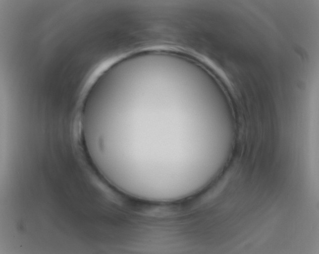 X0000114571367200910191024