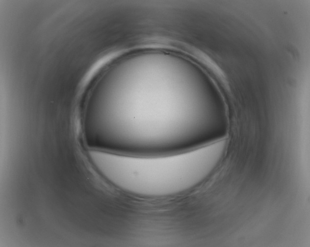 X0000114571368200910191024