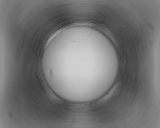 X0000114571369200910191024