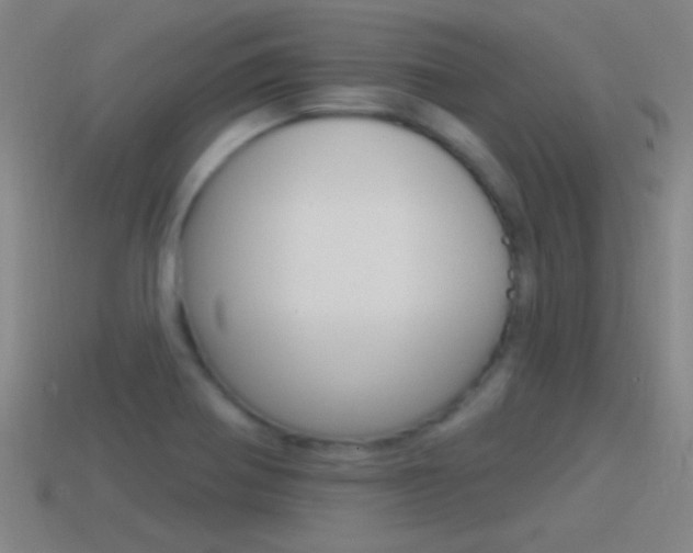 X0000114571370200910191024