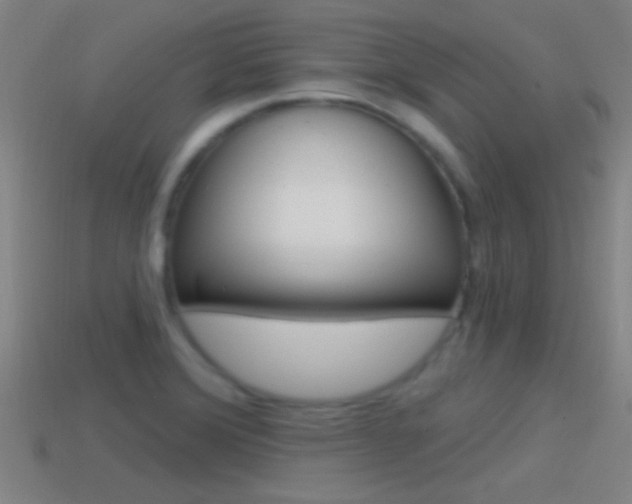 X0000114571372200910191024