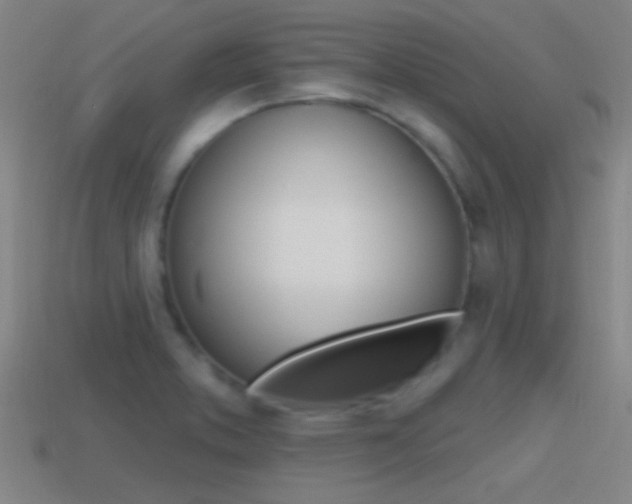X0000114571373200910191024