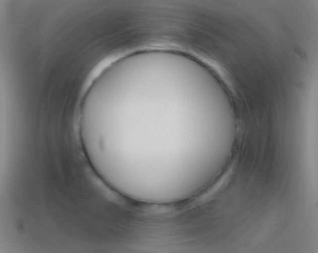 X0000114571374200910191024
