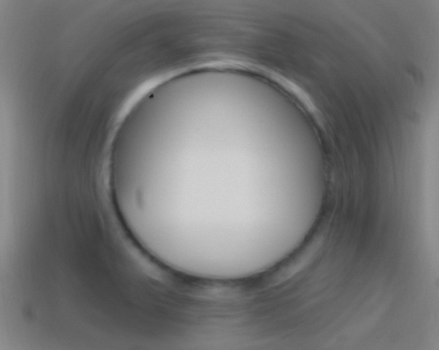 X0000114571375200910191024