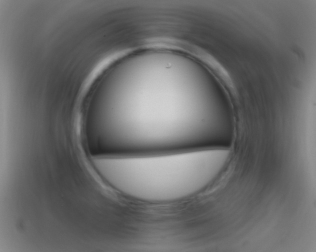 X0000114571376200910191024