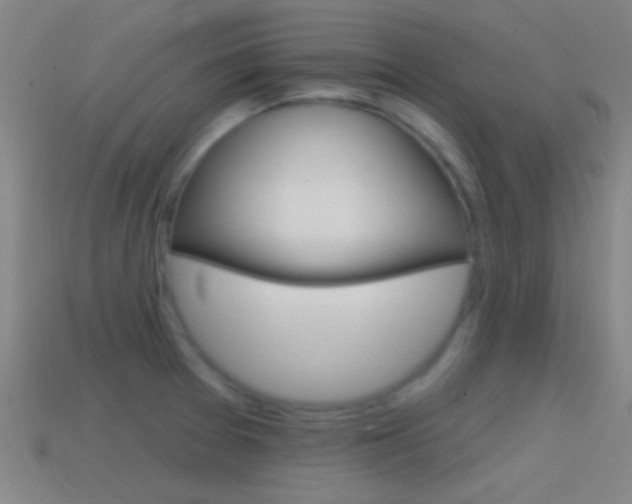 X0000114571377200910191024