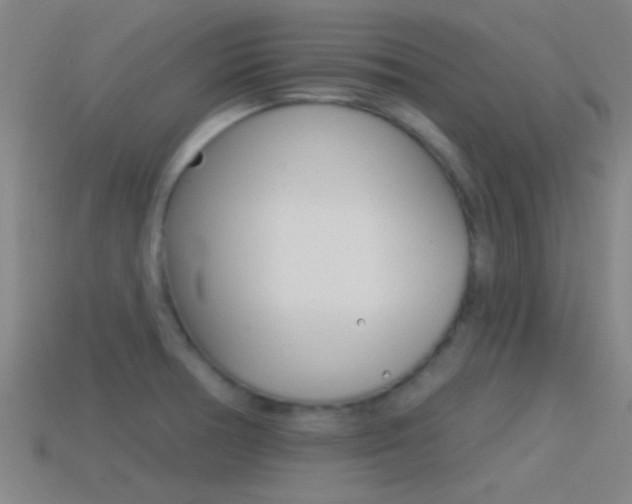 X0000114571378200910191024