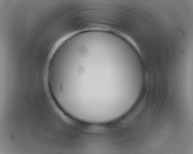 X0000114571379200910191024
