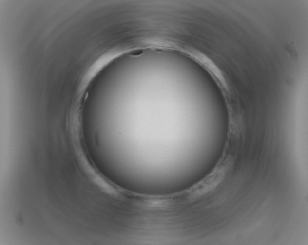 X0000114571381200910191024
