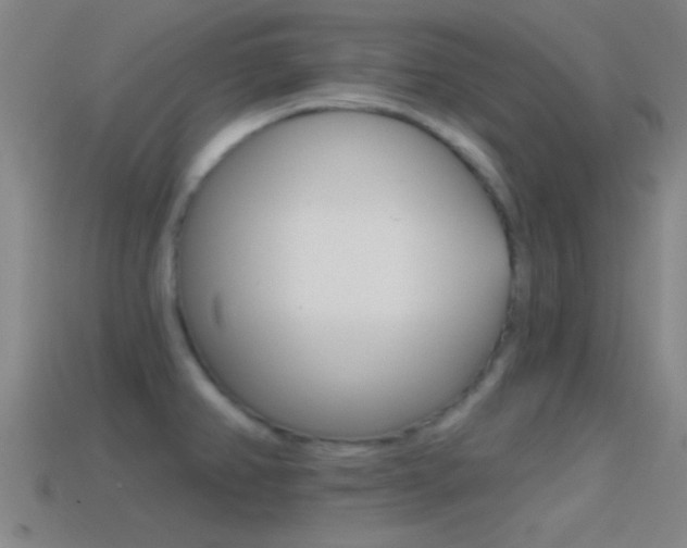X0000114571382200910191024