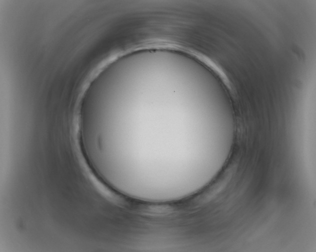 X0000114571383200910191024