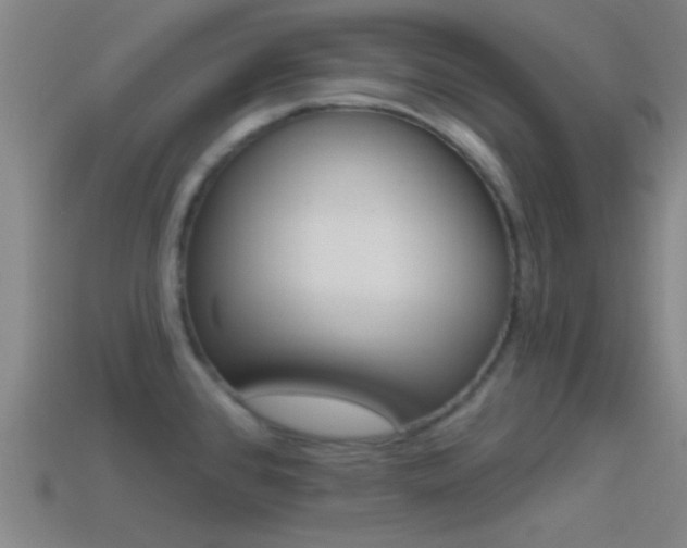 X0000114571384200910191024