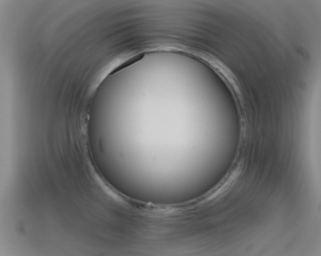 X0000114571385200910191024