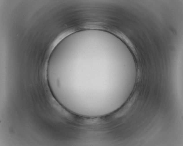 X0000114571386200910191024