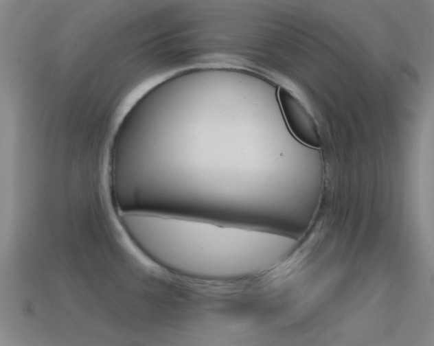 X0000114571387200910191024
