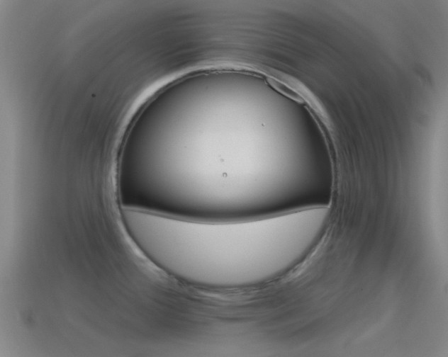 X0000114571388200910191024