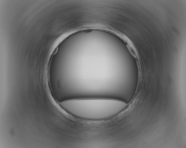 X0000114571389200910191024