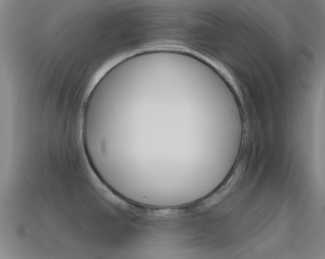 X0000114571390200910191024