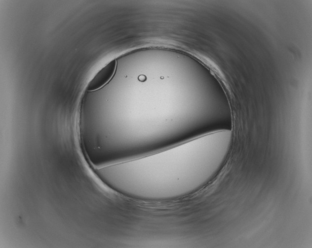 X0000114571391200910191024