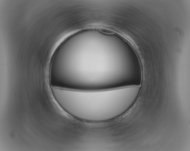 X0000114571392200910191024