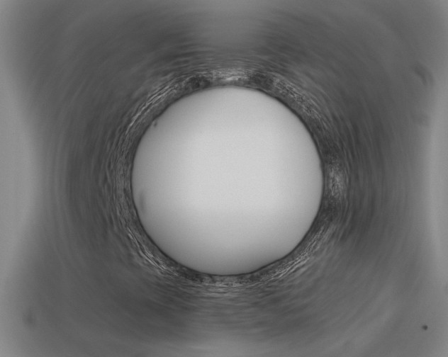X0000114571393200910191023