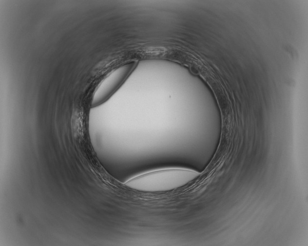 X0000114571394200910191023