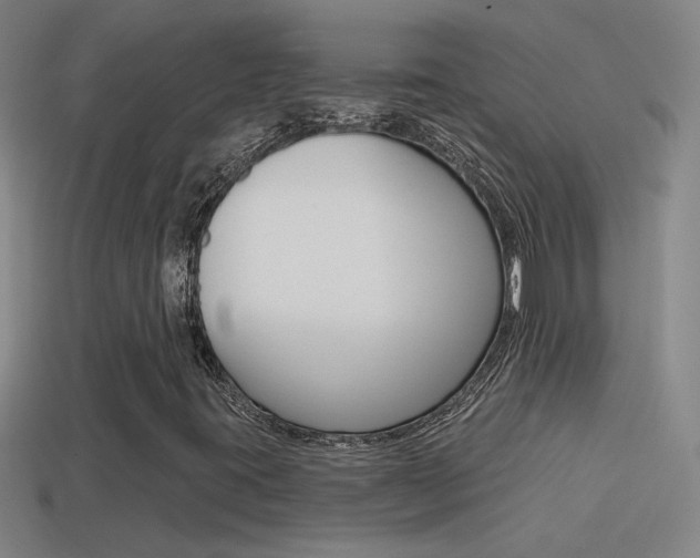 X0000114571395200910191023