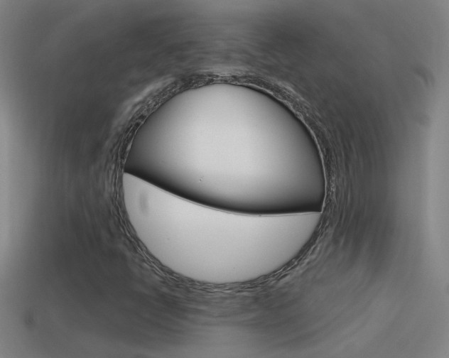 X0000114571398200910191023