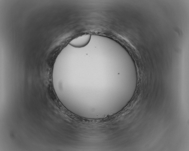 X0000114571399200910191023