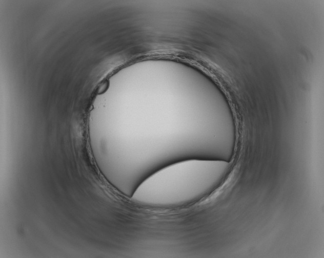 X0000114571401200910191023