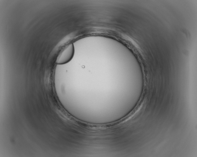 X0000114571403200910191023
