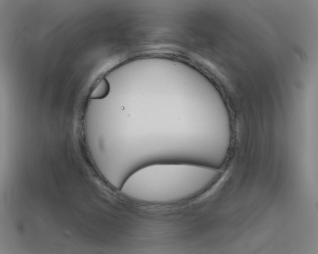 X0000114571405200910191024