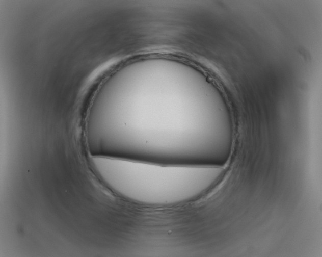 X0000114571406200910191024