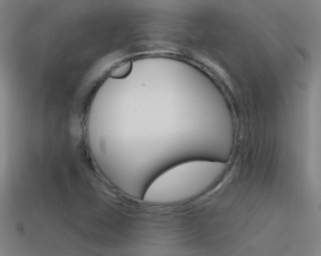 X0000114571407200910191024